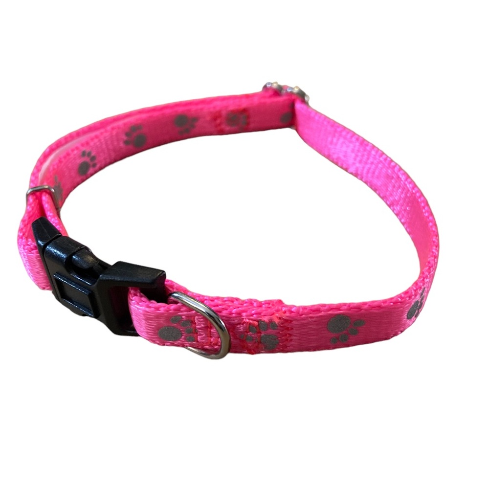XS-S thin collar Dog or Cat